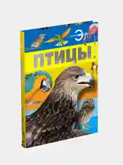 Книга, большая энциклопедия для детей, школьников "Птицы" для чтения, с иллюстрациями
