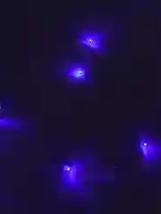 Желтый светодиодная гирлянда-штора