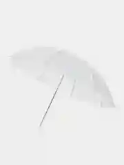 Фотозонт белый, на просвет, 101 см