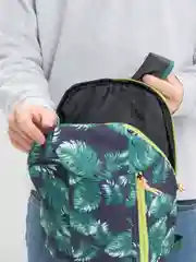Зеленый рюкзаки цветные