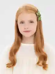 Зеленый заколки на зажиме