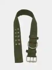 Ошейник четырехслойный, 80 х 4,9 см, ОШ 65-75 см, полиэстер, зелёный