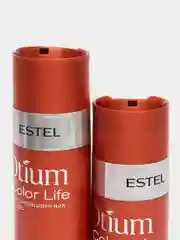 Подарочный Набор для окрашенных волос OTIUM COLOR LIFE