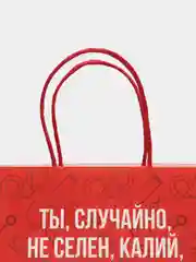 Лесной зеленый пакет подарочный новогодний, новогодний пакетик "С новым 2025 годом", 22х22см 1 дизайн