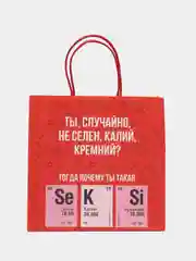 Лесной зеленый пакет подарочный новогодний, новогодний пакетик "С новым 2025 годом", 22х22см 1 дизайн
