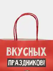 Коралловый пакет подарочный новогодний, новогодний пакетик "С новым 2025 годом", 22х22см 1 дизайн