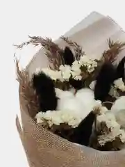 Черный букет сухоцветы, 35 см