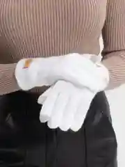 Белый сенсорные перчатки/ Женские перчатки утепленные, перчатки махровые