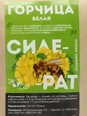 Сидерат Горчица белая, 0,5 кг, Семена Алтая
