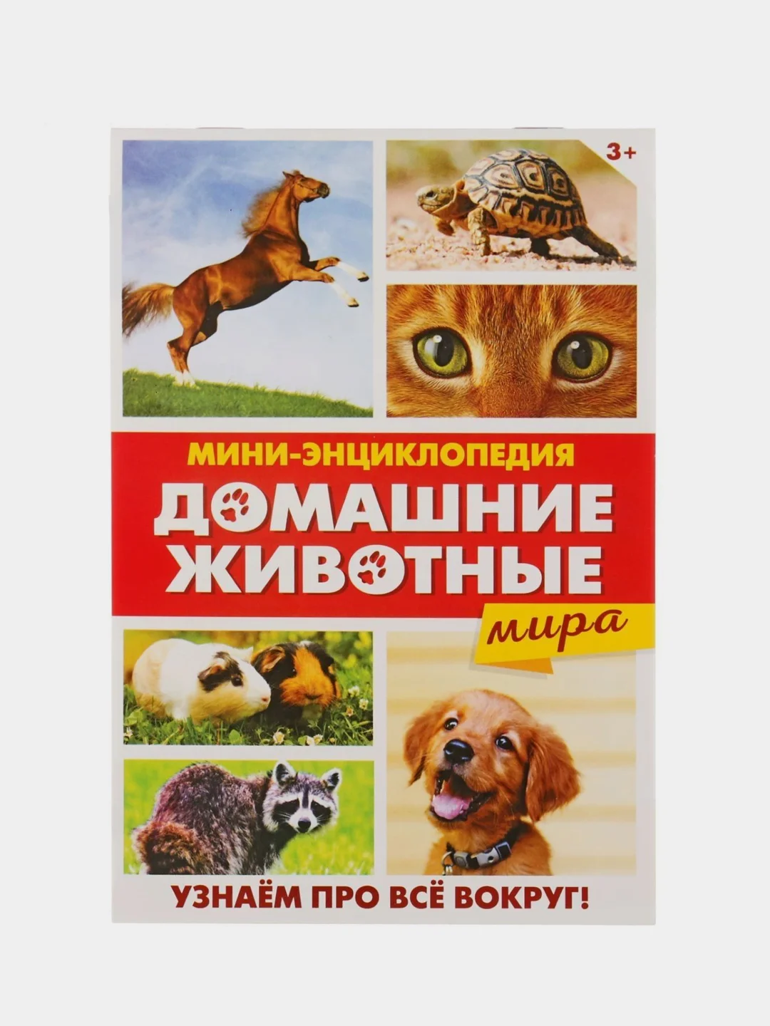Алый книга для детей Мини - энциклопедии