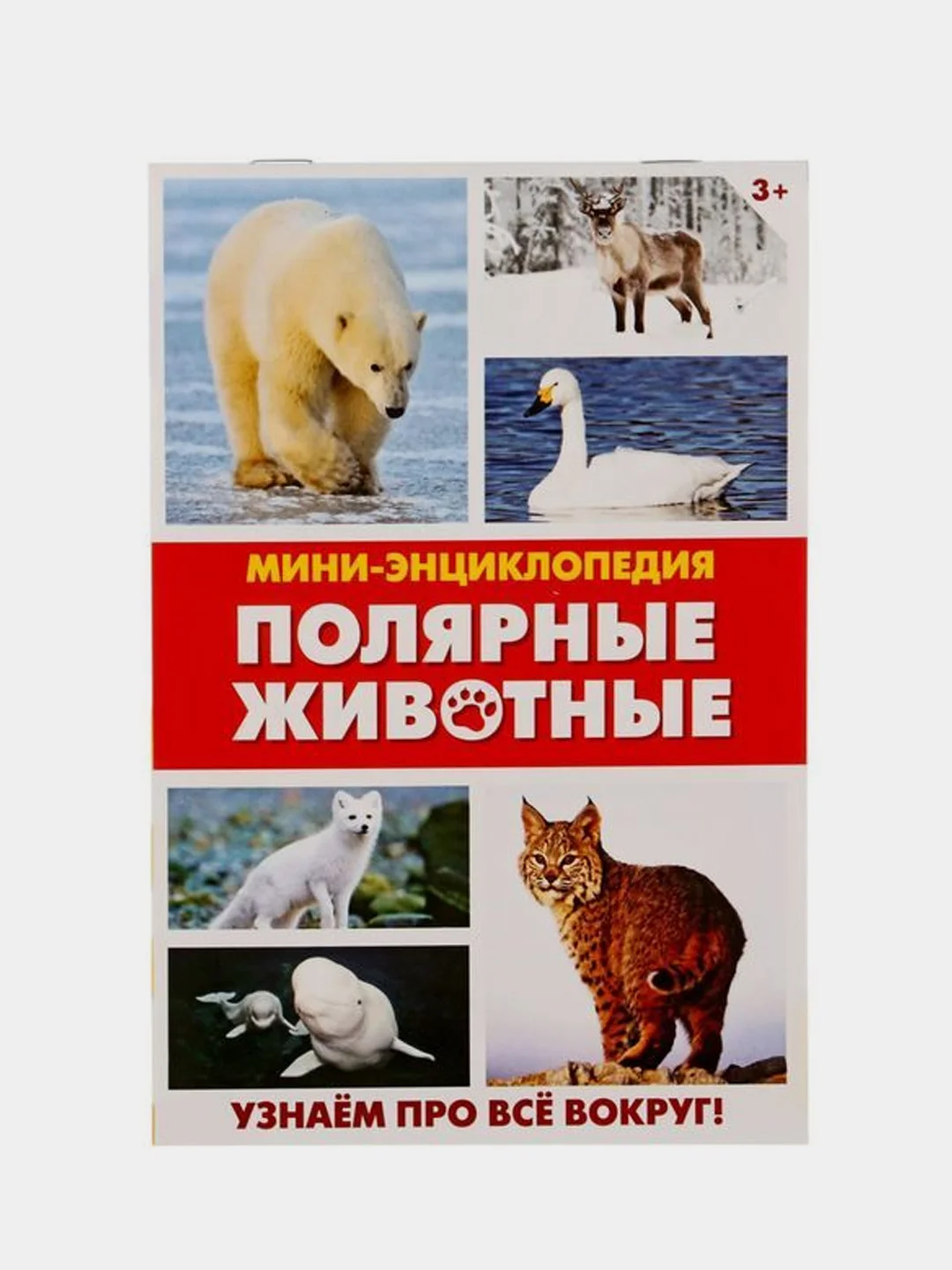 Бирюзовый книга для детей Мини - энциклопедии