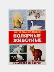 Бирюзовый книга для детей Мини - энциклопедии