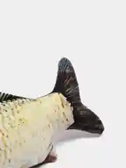 Хаки игрушка рыба для кошек. Рыбка