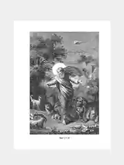 Коричневый книга православная Библия Новый и Ветхий завет Священного Писания, с иллюстрациями