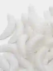 Белый приманка рыболовная, опарыш