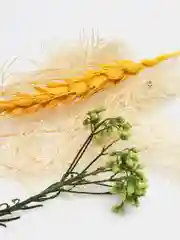 Желтый набор сухоцветов для творчества, сухие цветы для декора, для маникюра и эпоксидной смолы