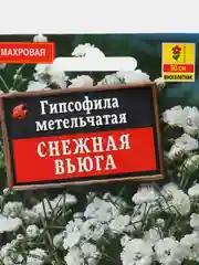 Гипсофила многолетняя метельчатая махровая семена цветов