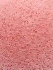 Розовый спонж конжаковый, конняку губка для умывания