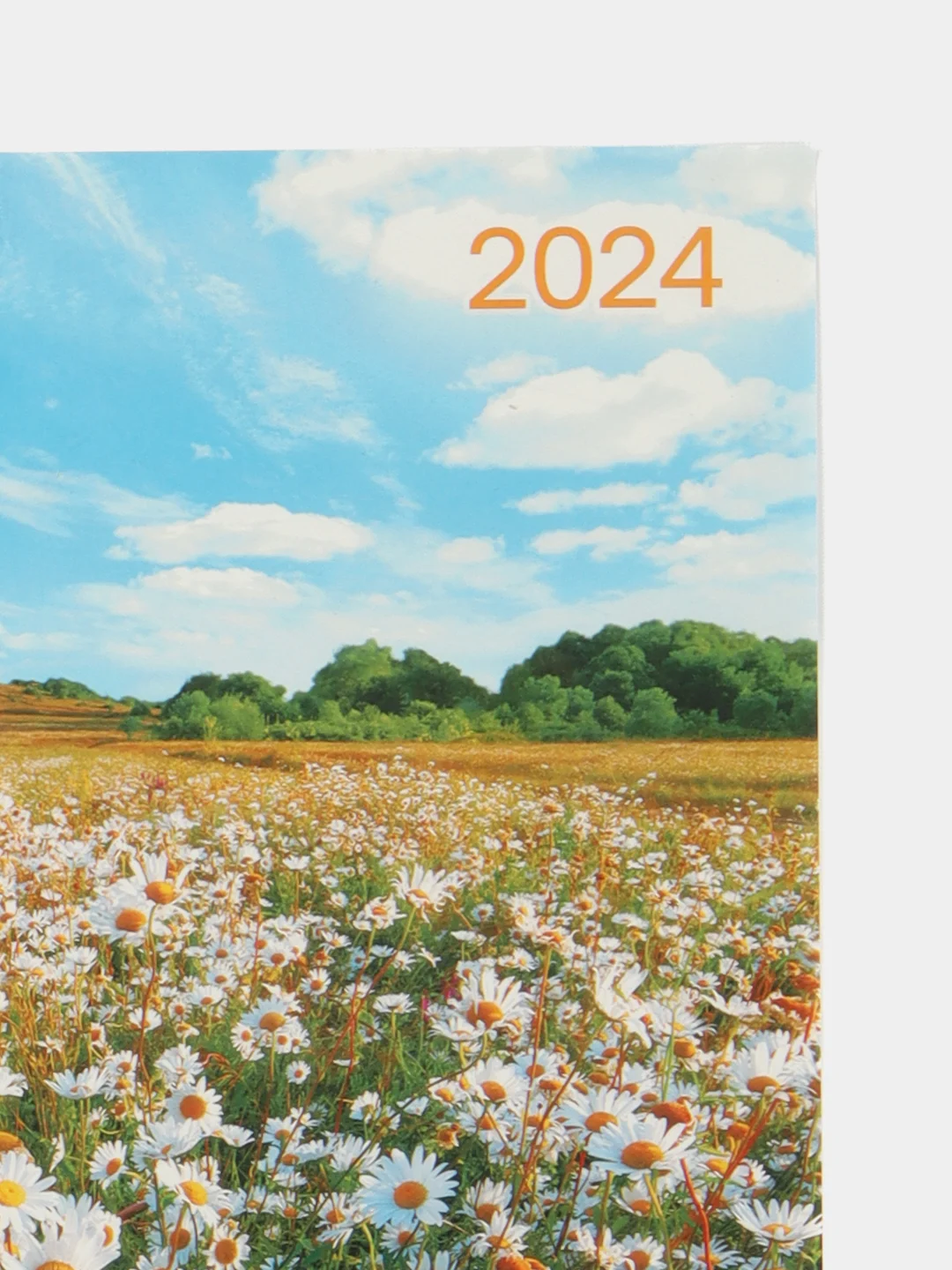 Горчичный календарь листовой настенный на 2024 год, А3, 295*417