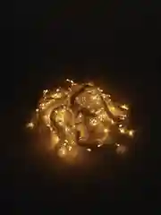 Голубой новогодняя светодиодная LED гирлянда штора, 4 цвета, 2 х 2 м / 3 х 2 м