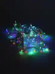 Лазурный новогодняя светодиодная LED гирлянда штора, 4 цвета, 2 х 2 м / 3 х 2 м