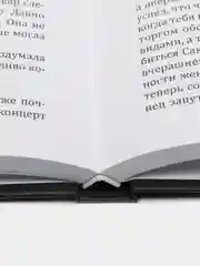 ЧИТАЙ-УММА / Книга "Демон ее заберет" продолжение книги Аль Джасум