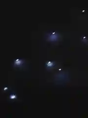 Белый светодиодная гирлянда на батарейках CR2032 "Роса", "Нить", "Нитка", белая, желтая 3 и 5 м