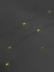 Желтый светодиодная гирлянда на батарейках CR2032 "Роса", "Нить", "Нитка", белая, желтая 3 и 5 м