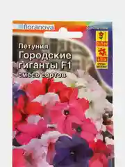 Петуния "Городские гиганты F1", смесь сортов, семена