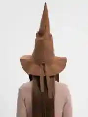 Распределяющая шляпа из Гарри Поттера