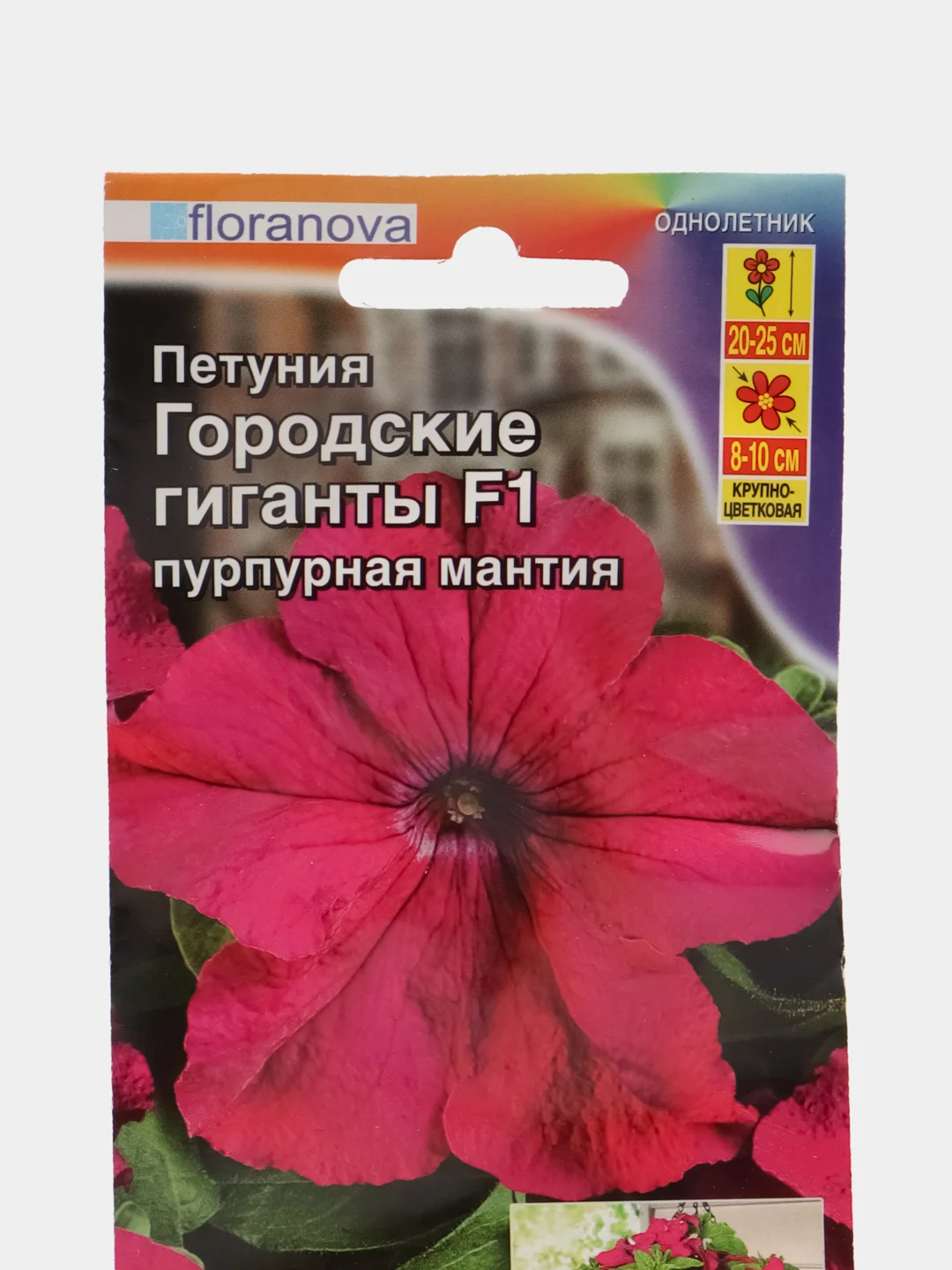 Петуния "Городские гиганты F1 пурпурная мантия", семена