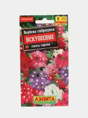Вербена гибридная Искушение, семена