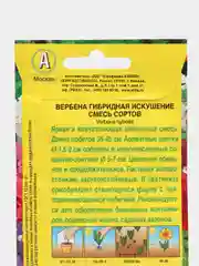 Вербена гибридная Искушение, семена