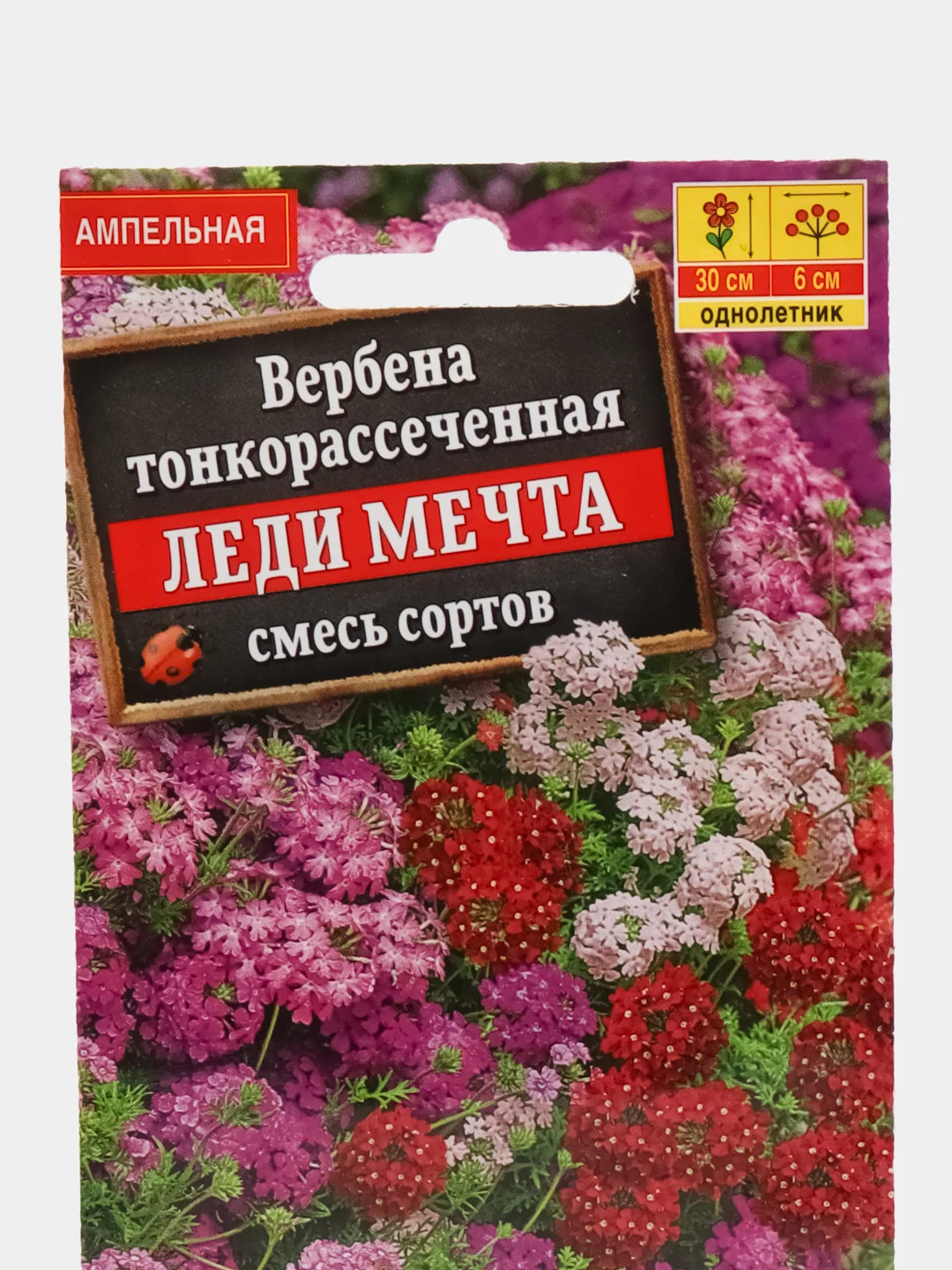 Вербена гибридная Леди мечта, семена