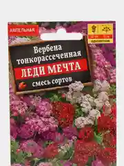 Вербена гибридная Леди мечта, семена