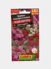 Вербена гибридная Леди мечта, семена