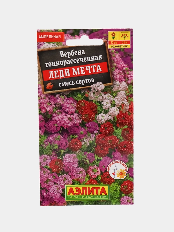 Вербена гибридная Леди мечта, семена