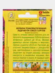 Вербена гибридная Леди мечта, семена