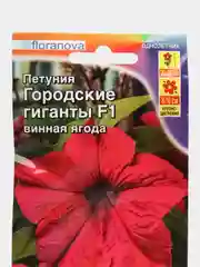 Петуния "Городские гиганты F1" винная ягода, семена