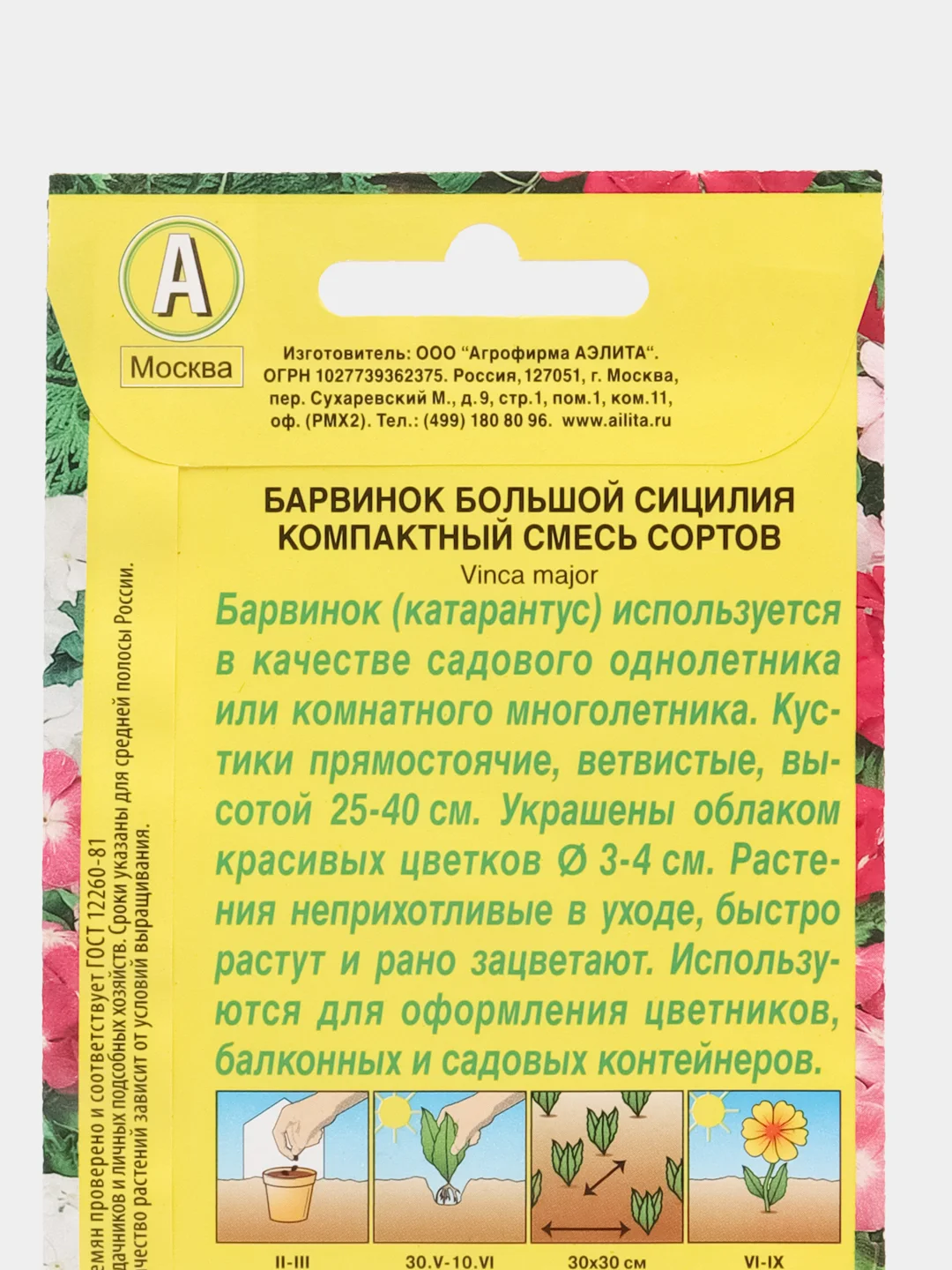 Барвинок Сицилия, семена