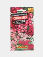 Барвинок Сицилия, семена