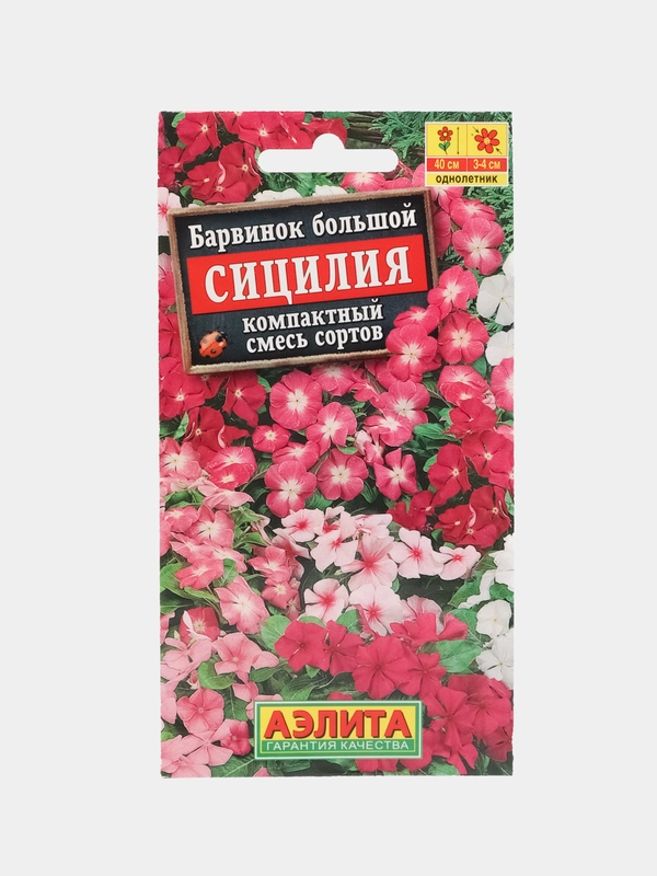 Барвинок Сицилия, семена