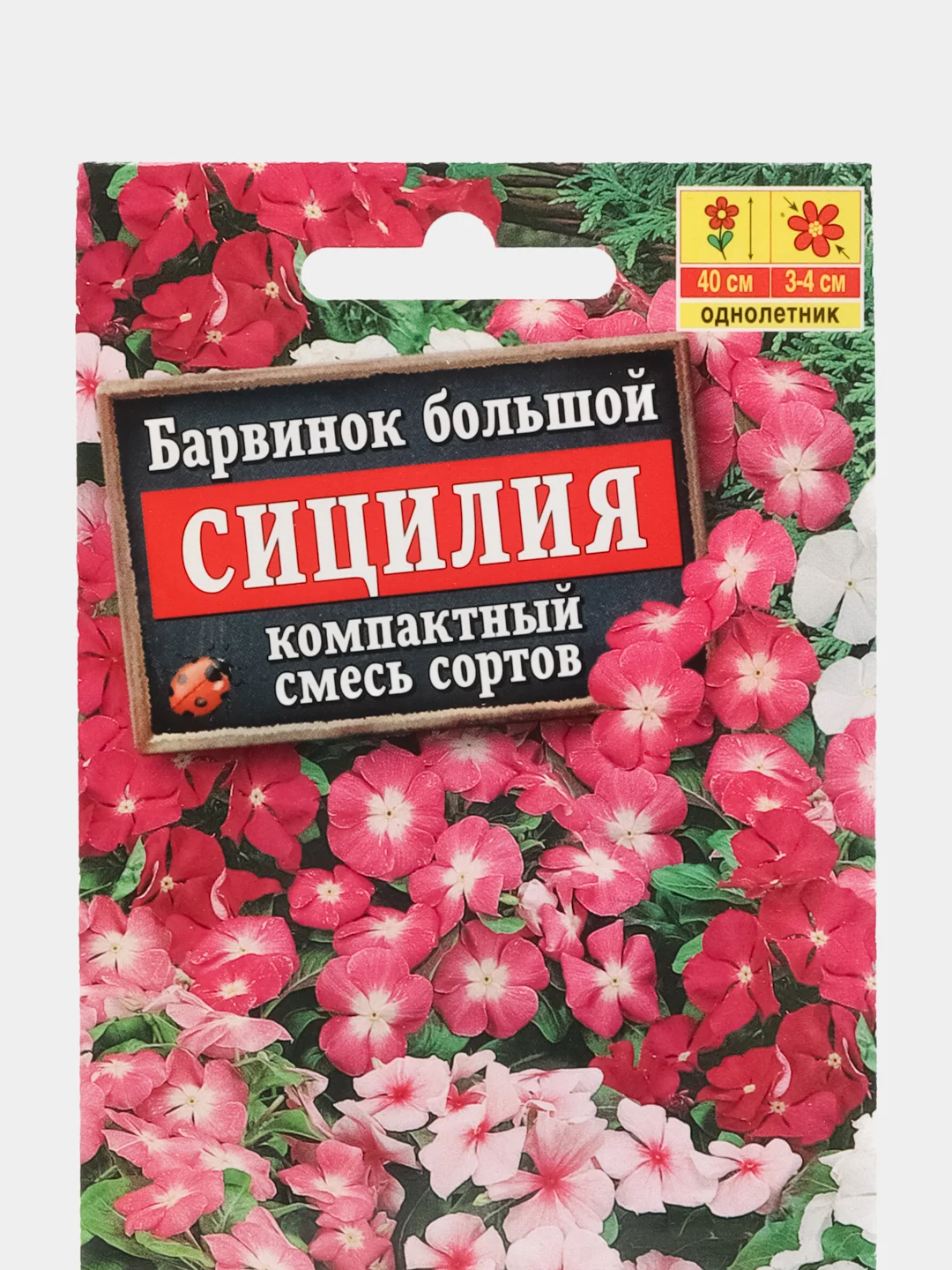 Барвинок Сицилия, семена