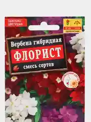 Вербена гибридная Флорист, семена