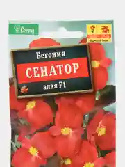 Бегония вечноцветущая Сенатор алая, семена