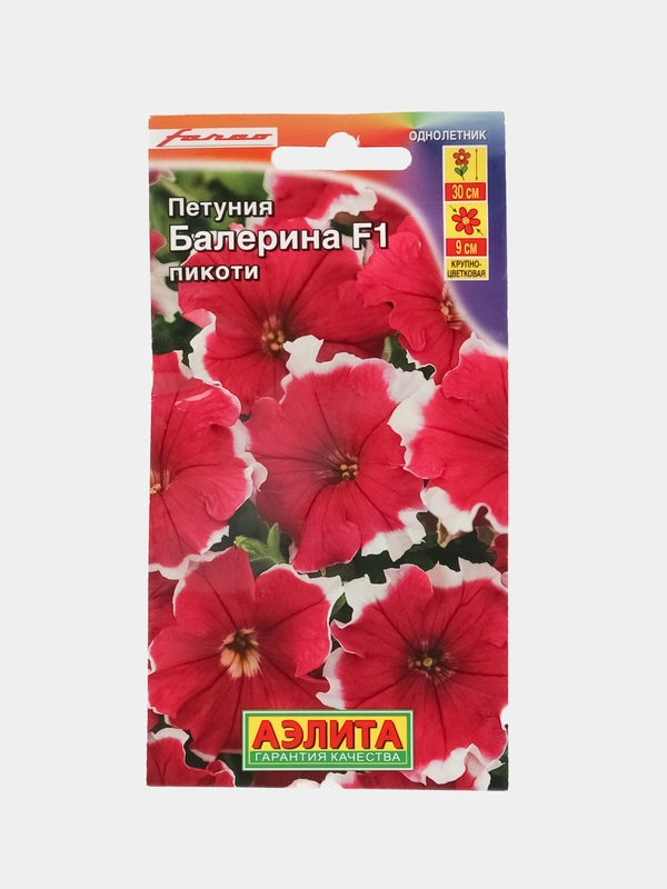 Петуния Балерина бургунди крупноцветковая F1, семена