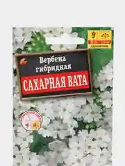Вербена гибридная Сахарная вата, семена