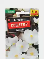 Бегония вечноцветущая Сенатор белая, семена