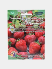 Земляника "Диво дивное" - ремонтантная, УД, семена