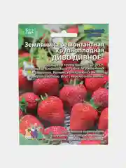 Земляника "Диво дивное" - ремонтантная, УД, семена
